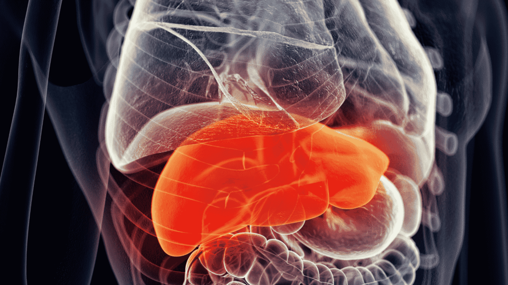 Como Reverter a Gordura no Fígado de Forma Rápida e Segura