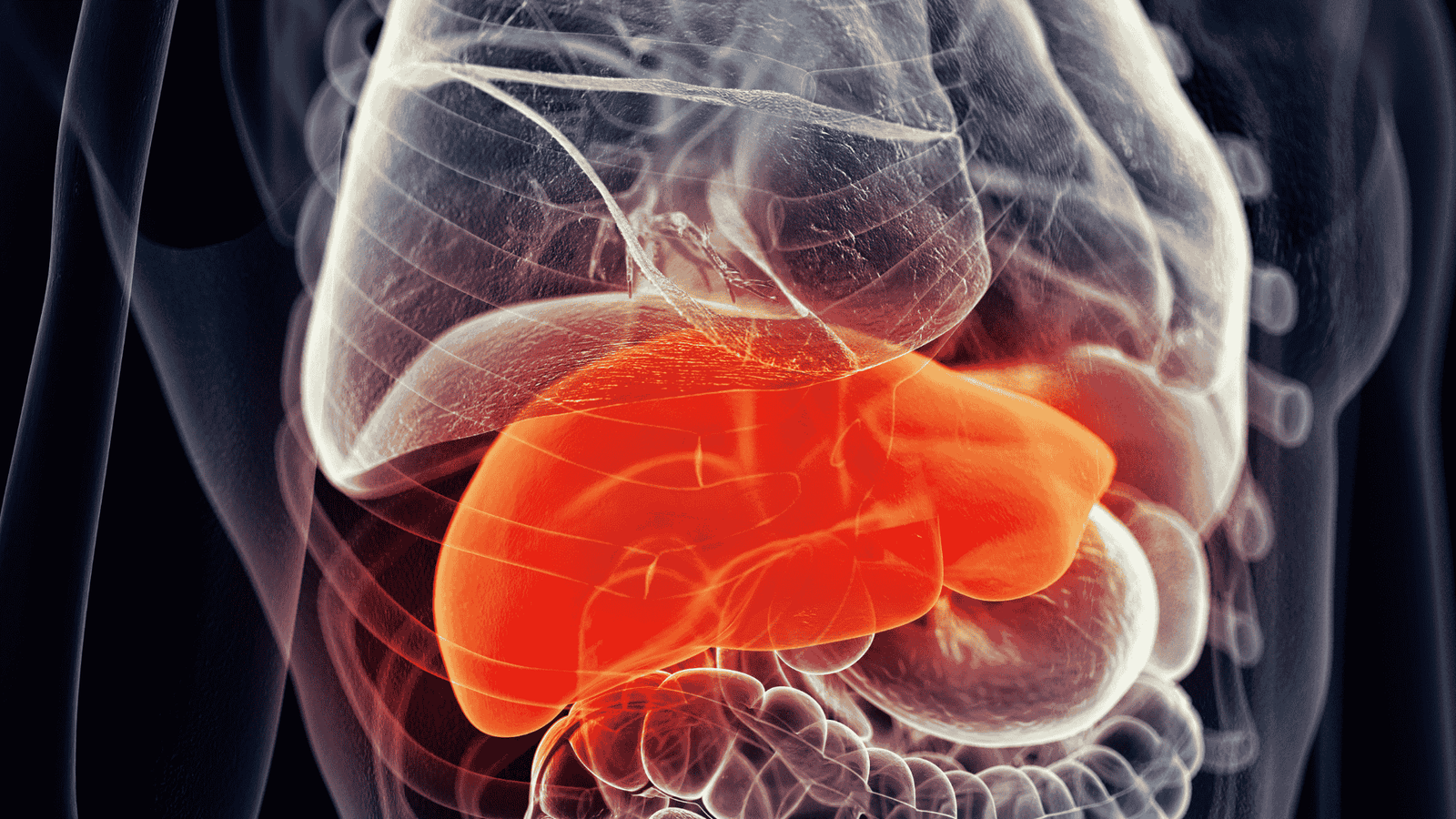 Como Reverter a Gordura no Fígado de Forma Rápida e Segura